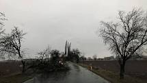 Spadlý strom na silnici u Červeného domku mezi obcemi Svatá Kateřina a Nové Dvory.