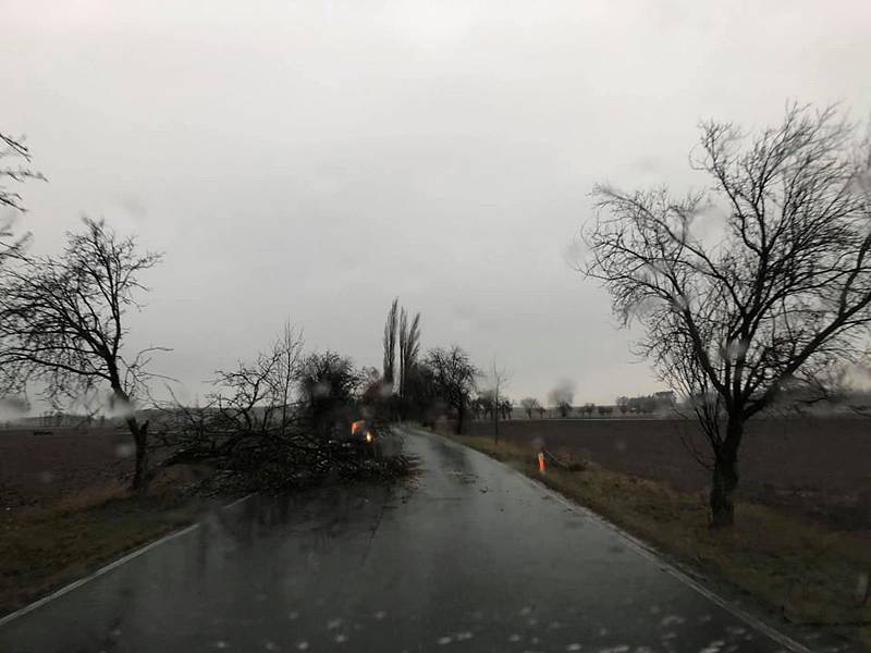 Spadlý strom na silnici u Červeného domku mezi obcemi Svatá Kateřina a Nové Dvory.