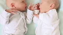 Marie (vlevo) a Martin Kebzovi se narodili 27. června 2021 v 8.20 hodin v čáslavské porodnici. Marie vážila 2620 gramů a měřila 48 centimetrů. Martin vážil 2680 gramů a měřil 48 centimetrů. Do Ronova nad Doubravou odjeli s maminkou Danielou, tatínkem Mart