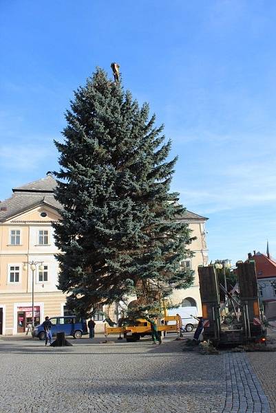 Vánoční strom přivezli na Palackého náměstí v Kutné Hoře ve čtvrtek 23. listopadu.