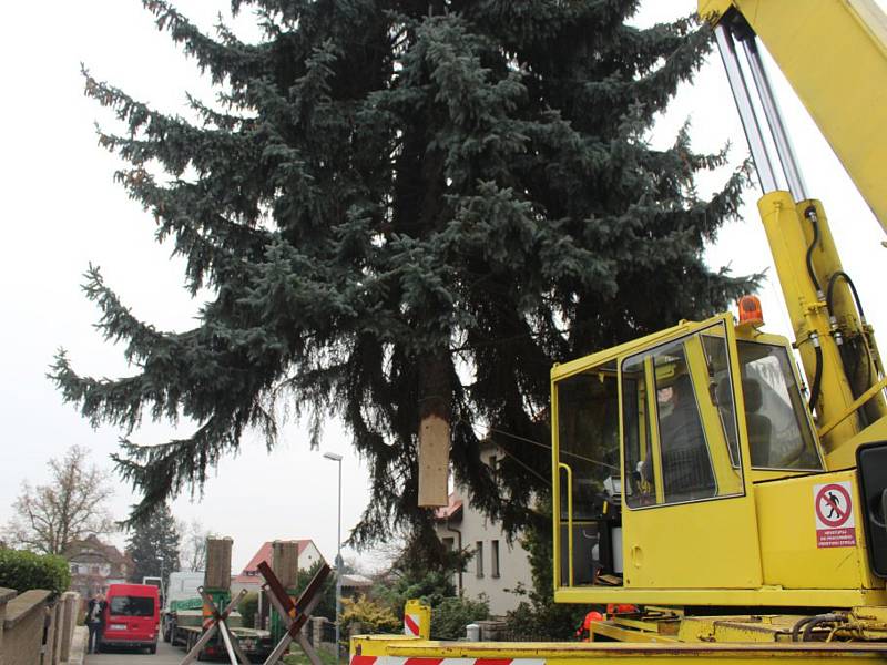 Cesta vánočního stromu ze Žižkova na Palackého náměstí v Kutné Hoře.