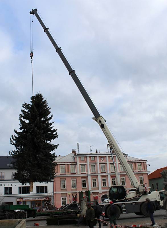 Vánoční strom přivezli na čáslavské náměstí ze Zbraslavic.