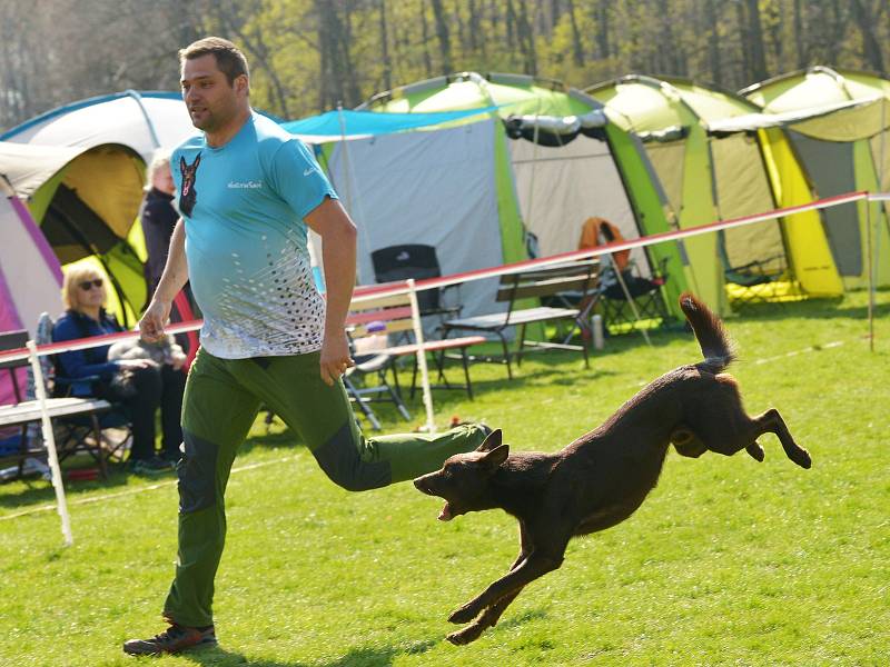 Agility závody 'O kutnohorský groš' na cvičáku v Kutné Hoře.