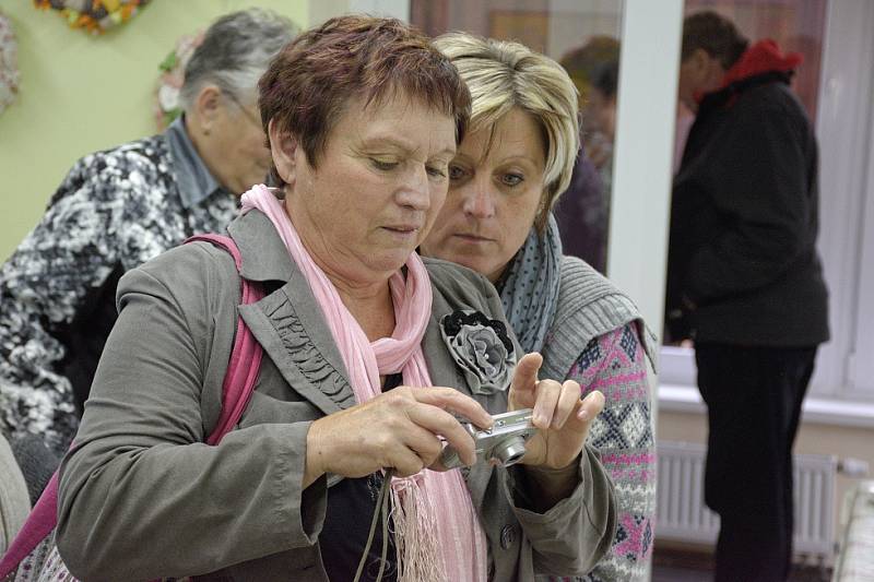 V Černínách zahájili výstavu Šikulové z regionu.