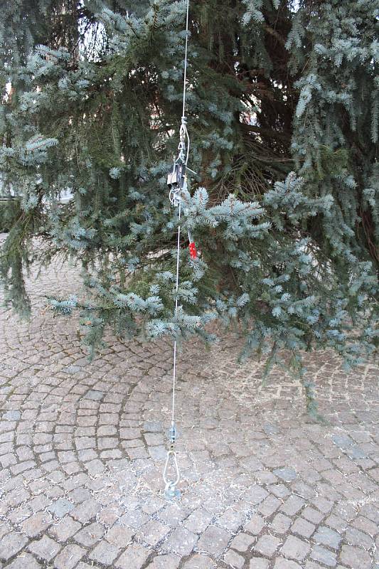 Strom na čáslavském náměstí 27. listopadu 2017.
