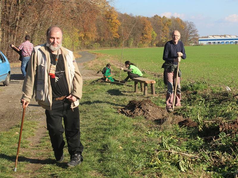 Dobrovolníci dosázeli ovocnou alej, Kutná Hora