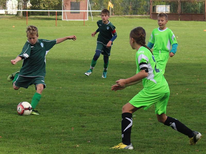 Okresní přebor mladších žáků: TJ Sokol Červené Janovice - FK Čáslav D 0:23 (0:11).