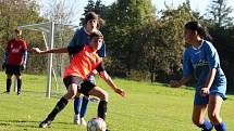 Fotbalový okresní přebor starších žáků: FK Záboří nad Labem - FK Čáslav dívky 1:3 (1:2).