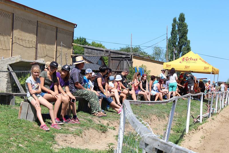 Sportovní den s koňmi na ranči Dalu v Kozohlodech