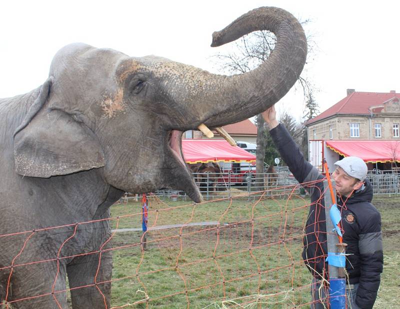 Cirkus Berousek v Kutné Hoře