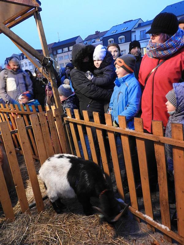 Rozsvícení vánočního stromu na Žižkově náměstí v Čáslavi.