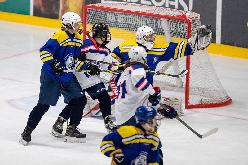 Ústecký kraj - Olomoucký kraj 4:6.