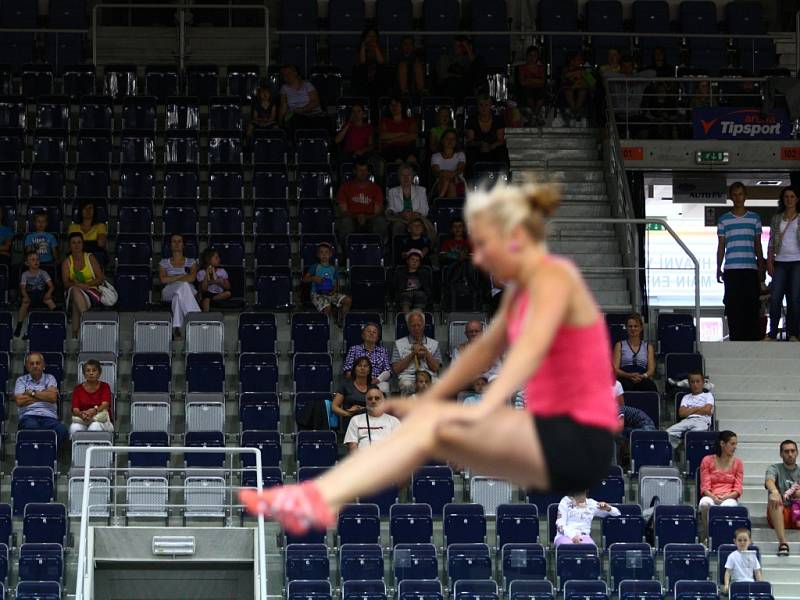 ZITA FRYDRYCHOVÁ, liberecká olympionička, předvedla včera své umění na komentovaném veřejném tréninku několika desítkám zájemců v Tipsport areně.