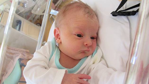 MAX ŽIŽKA  Narodil se 14. ledna v liberecké porodnici mamince Nikol Žižkové z Liberce.  Vážil 3,18 kg a měřil 48 cm.