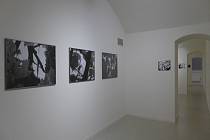 Výstava fotografií Michaela Čtveráčka.