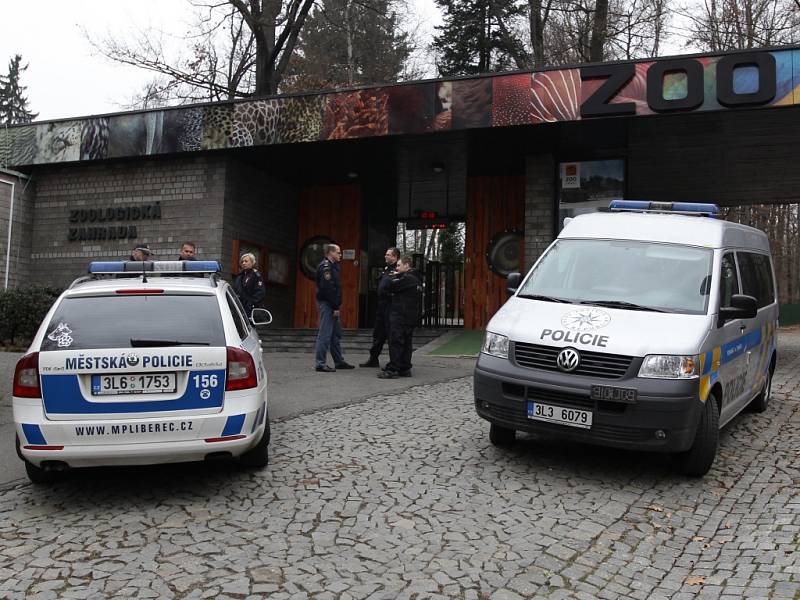 V liberecké zoologické zahradě napadl bílý tygr tři lidi.