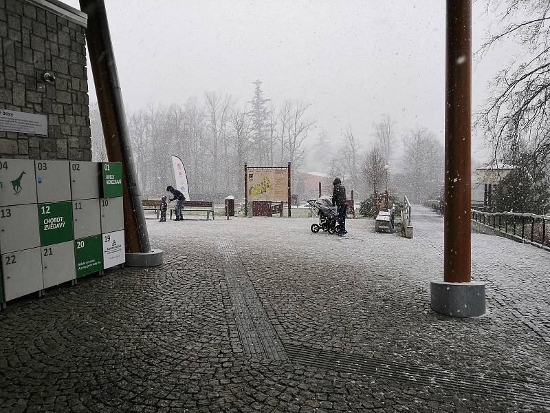 Liberecká zoo znovu otevřela své brány a uvítala první návštěvníky.