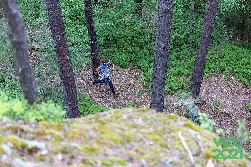 Fotky jsou ze sprintové štafety v Doksech, krátké trati ve Smržovce a štafety a klasické trati, které se běžely v Heřmánkách na Kokořínsku.