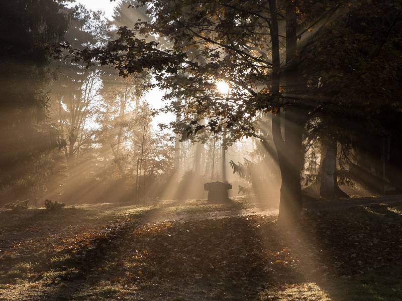 Kromě přírody patří mezi jeho největší koníčky fotografování.