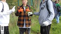 V rámci mezinárodního projektu tři desítky dětí vysadily javory podél rychlostní silnice ve Stráži. Ze stromů bude protihluková stěna.