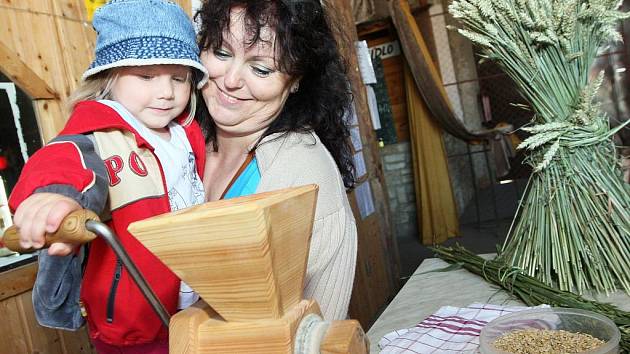 JAK VYPADÁ takový mlýnek na obilí a jak se s ním mele, si děti mohou samy vyzkoušet na ředhošťské farmě. Poznávání vesnického života našich předků „naživo“ si pedagogové chválí a líbí se i dětem.