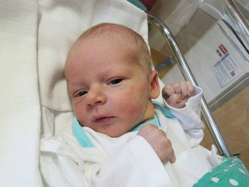 DAVID KORF  Narodil se 23. ledna v liberecké porodnici mamince Kateřině Korfové z Liberce. Vážil 3,26 kg a měřil 50 cm.