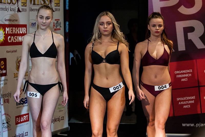 Dívky ve věku od 17 do 24 let se mohly 6. února zúčastnit castingu do soutěže Miss Liberecký kraj. Během castingu absolvovaly účastnice rozhovor s porotou, profesionální focení a promenádu v plavkách.