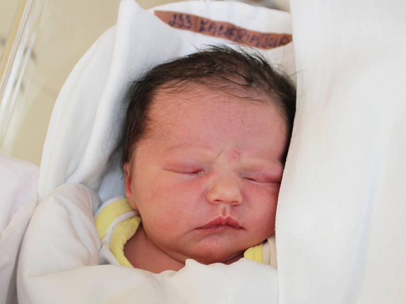 ZORA ZACHARIÁŠOVÁ Narodila se 2. března v liberecké porodnici rodičům Michaele Pachotové a Radku Zachariášovi ze Cvikova. Vážila 3,46 kg a měřila 50 cm.