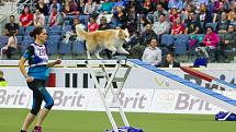 Poslední den Mistrovství světa v agility proběhl 8. října v Home Credit areně v Liberci. Na snímku je Cynthia Bossio se psem Melly při disciplíně agility jednotlivců se středně velkými psy.