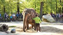 Mezinárodní den zvířat v liberecké zoologické zahradě.