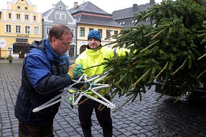 Letošní vánoční strom Frýdlantu opět pochází z Dolní Řasnice. Jedná se o smrk ztepilý, který byl určený k pokácení. Slavnostní rozsvícení se uskuteční tuto neděli 26. listopadu.