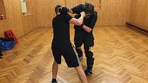 Krav maga představuje sebeobranný systém, který řeší nastalé situace komplexně, od toho, co předchází fyzickému střetu po jeho průběh až po opuštění místa střetu. Obsahuje v sobě i hodně z filozofie.