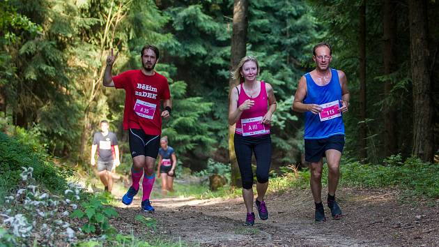 T-Mobile Olympijský běh 2018 proběhl 20. června v rámci Mezinárodního Olympijského dne ve Vratislavicích nad Nisou. Závodilo se i na dalších místech republiky a celkem vyběhlo přes 71 tisíc běžců.