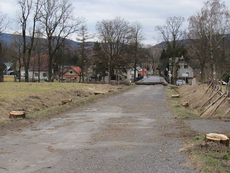 KRAJINU PO BITVĚ připomíná teď cesta mezi Raspenavou a Krásným Lesem. Dělníci už pokáceli přes 300 jasanů, které tvořily tzv. Kočárovou alej.