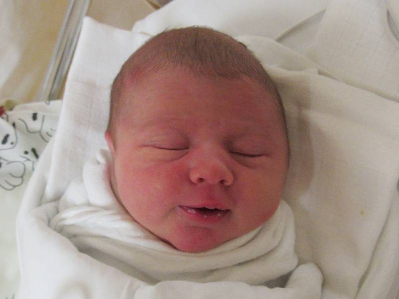 ELEN URBANOVÁ Narodila se 7. června v liberecké porodnici mamince Adéle Toráčové z Liberce. Vážila 3,24 kg a měřila 50 cm.