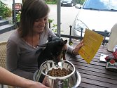 ČTYŘLETÝ BENNY SI POCHUTNÁVÁ na menu v jedné liberecké restauraci, která zavedla jídelní lístky pro psy.