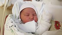 Eliška Zemánková. Narodila se 28. prosince v liberecké porodnici mamince Anně Kvapilové z Liberce. Vážila 3,555 kg a měřila 51 cm.