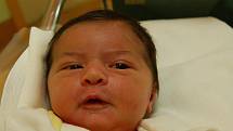 NATÁLIA MARTINIAKOVÁ  Narodila se 8. ledna v liberecké porodnici mamince Michaele Martiniakové z Liberce.  Vážila 3,73 kg a měřila 51 cm.   