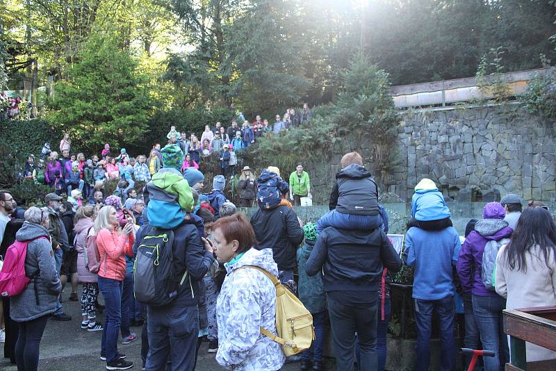 Mezinárodní den zvířat v liberecké zoologické zahradě.