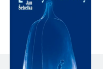 Humoristický román Lidičky z lahvičky  je jedenáctou knihou spisovatele Jana Šebelky.