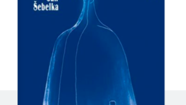 Humoristický román Lidičky z lahvičky  je jedenáctou knihou spisovatele Jana Šebelky.