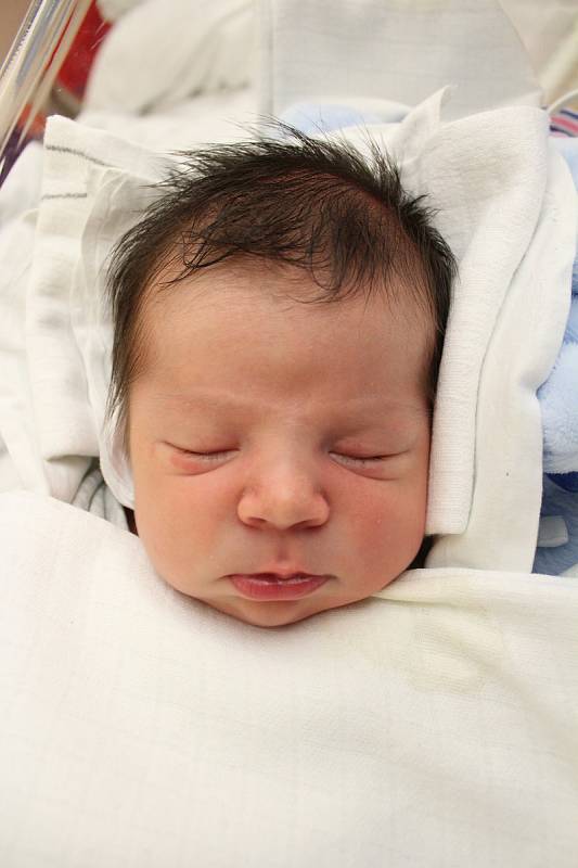 Dominik Řípa. Narodil se 17. listopadu v liberecké porodnici mamince Aleně Balogové z Liberce. Vážil 4,15 kg a měřil 51 cm.