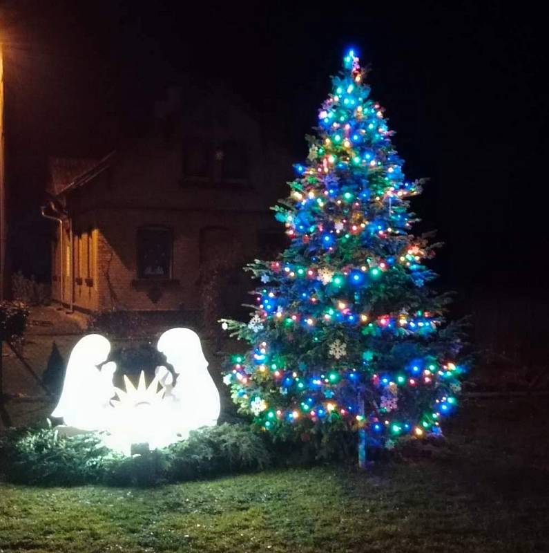 Vánoční strom v Dětřichově