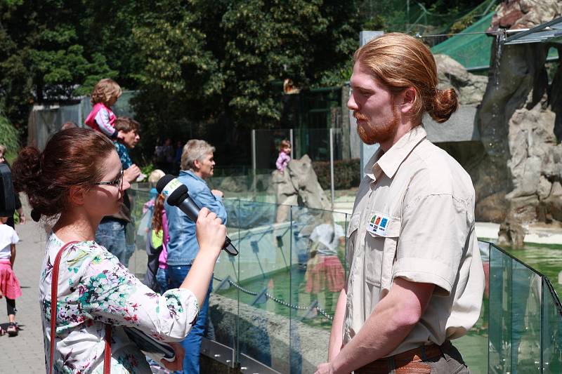 Lachtani v liberecké zoologické zahradě dvakrát denně vystupují i pro veřejnost. Jejich hlavním ošetřovatelem a chovatelem je Petr Honc.