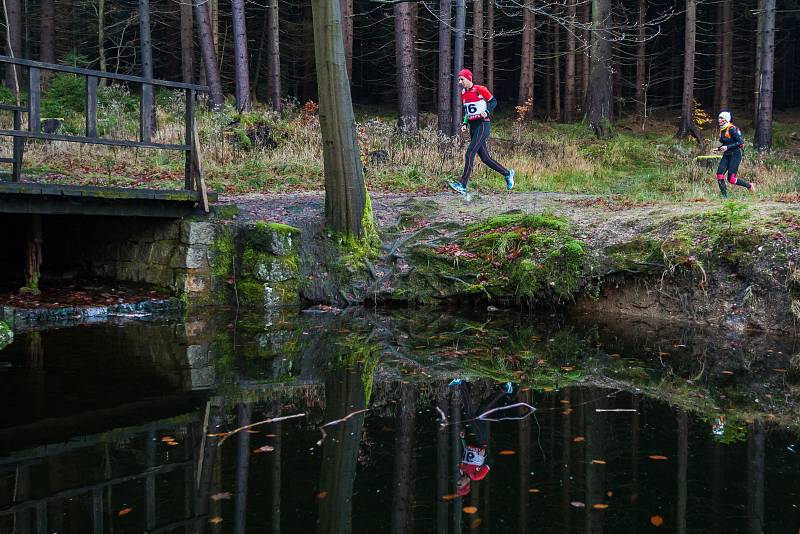 Závěrečný závod série BoBoTripl, horský běh na trati dlouhé 30 kilometrů, odstartoval 5. listopadu v Bedřichově na Jablonecku.