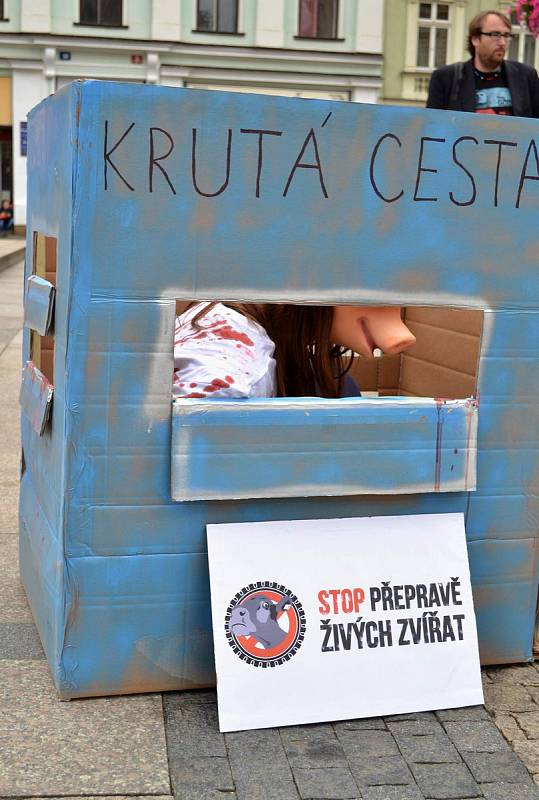 Na středu 13. září 2017 připadl Mezinárodní den STOP přepravě zvířat. A demonstrace se konala mimo jiné i na libereckém náměstí.