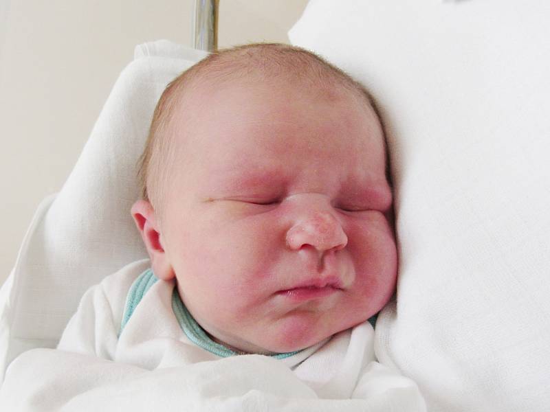 VOJTĚCH KVAPIL Narodil se 12. července v liberecké porodnici mamince Kláře Kvapilové z Bílého Potoka. Vážil 3,90 kg a měřil 52 cm.