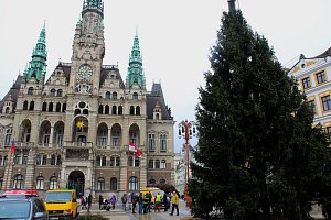 Na libereckém náměstí už stojí vánoční strom. Jeho kácení a převoz se uskutečnily 17. listopadu.