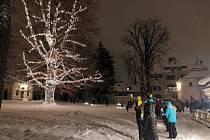 Rozsvícení vánočního stromu na zahradě Paláce Liebieg.