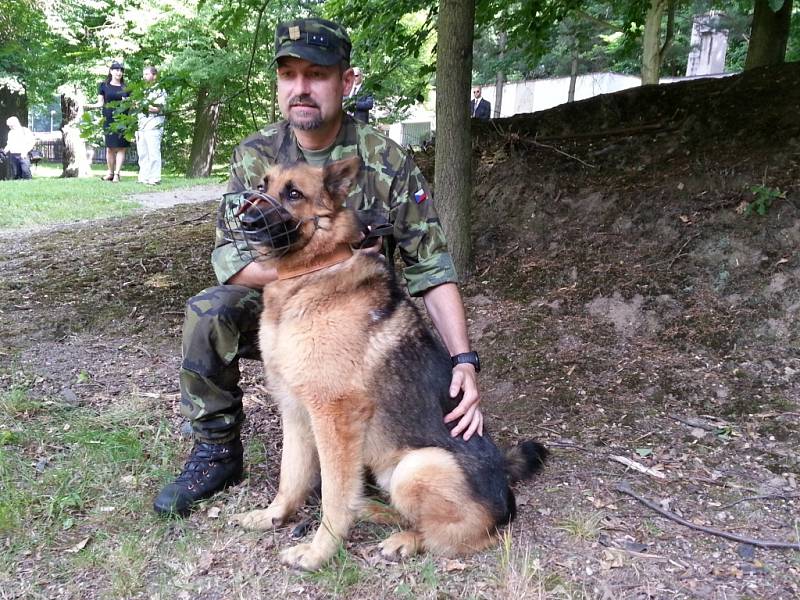 Pes hrdina, ovčák Athos, který za práci  při operacích v Afghanistánu obdržel ocenění od ministra obrany Vlastimila Picka.